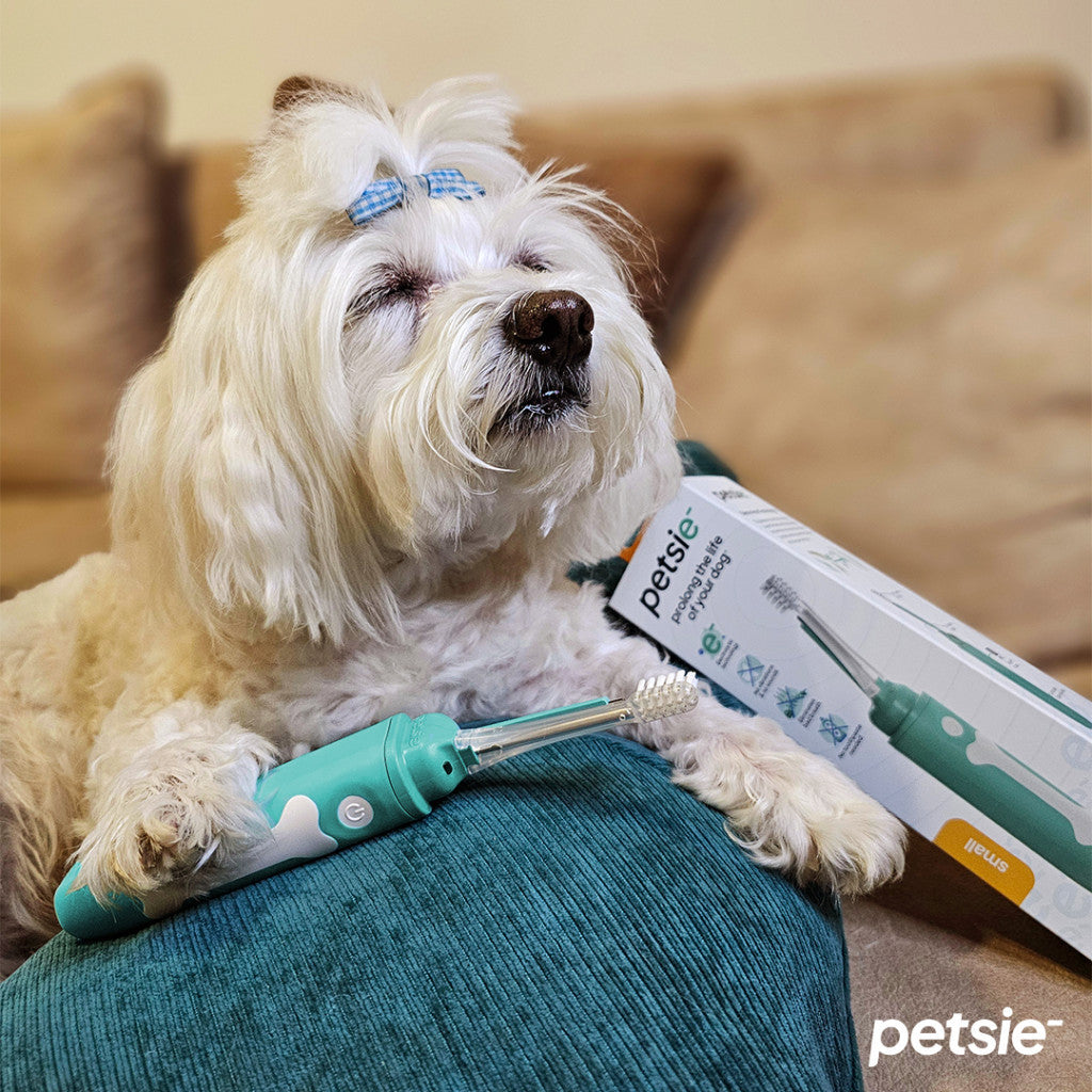 Petsie dog toothbrush (size S -10kg)-5