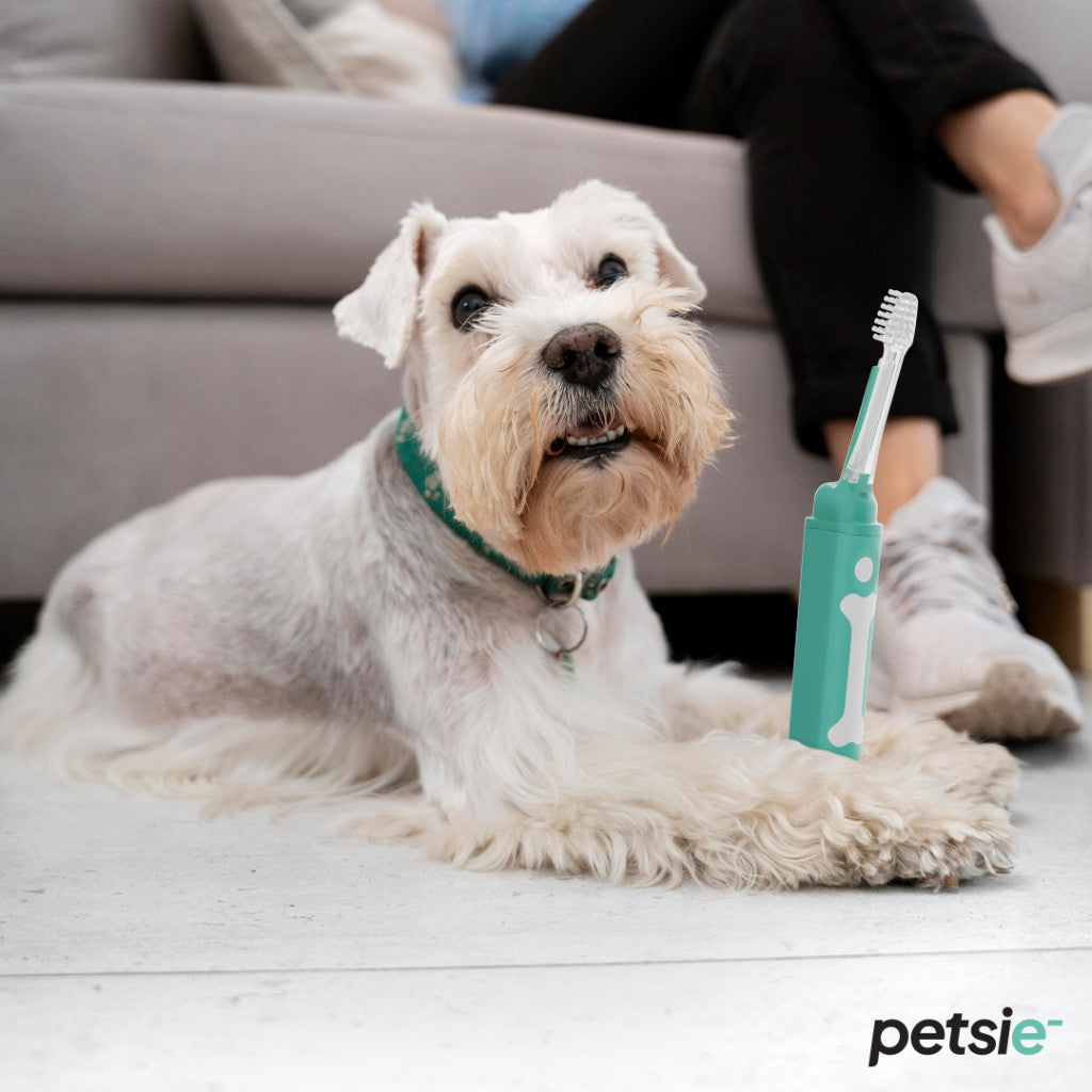 Petsie dog toothbrush (size S -10kg)-6