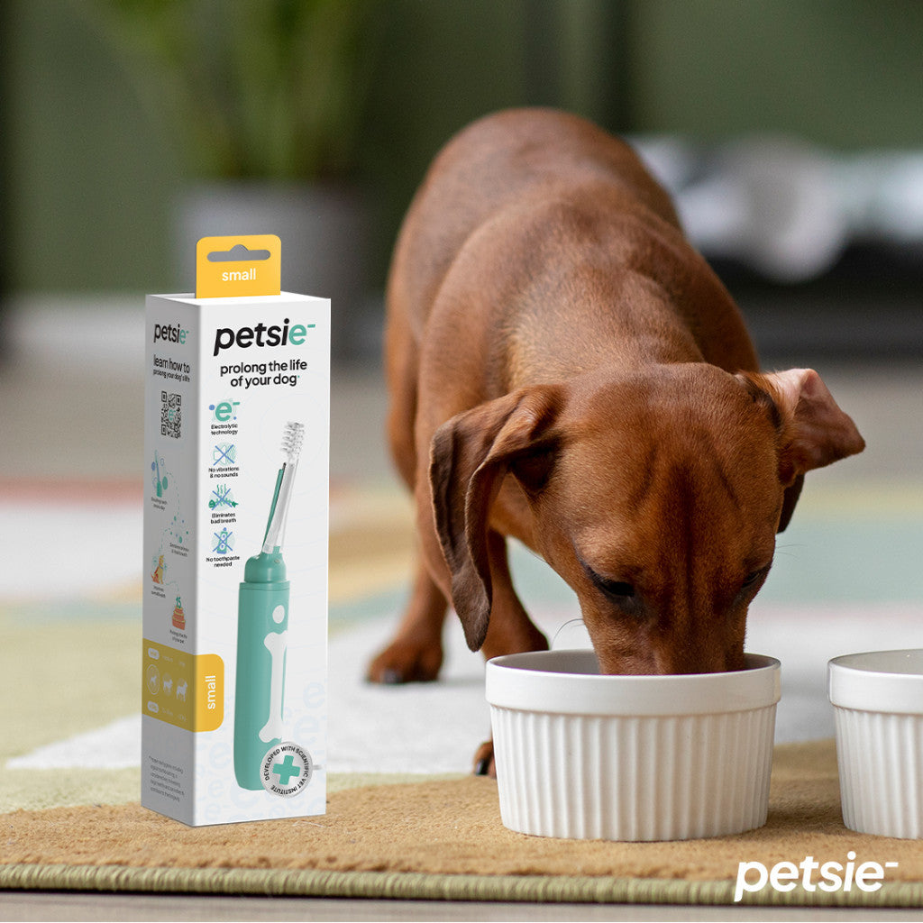 Petsie dog toothbrush (size M  10-20kg)-4