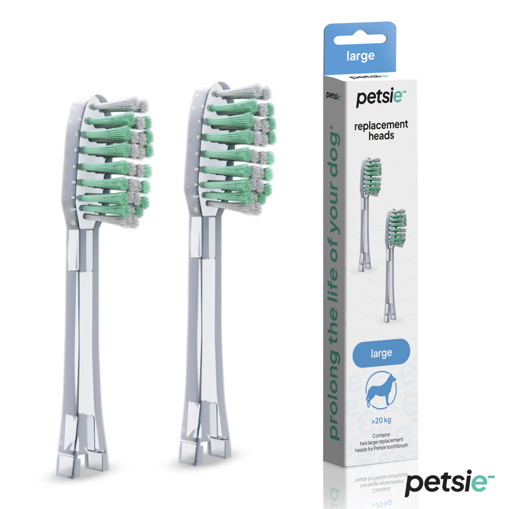2 replacement heads for Petsie dog toothbrush (size L  20+kg)-0