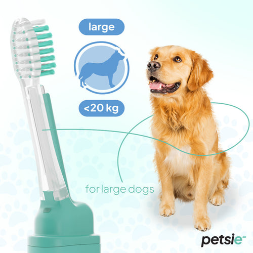 2 replacement heads for Petsie dog toothbrush (size L  20+kg)-1